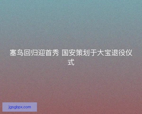 塞鸟回归迎首秀 国安策划于大宝退役仪式