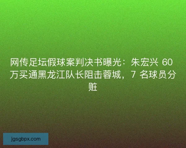 网传足坛假球案判决书曝光：朱宏兴 60 万买通黑龙江队长阻击蓉城，7 名球员分赃