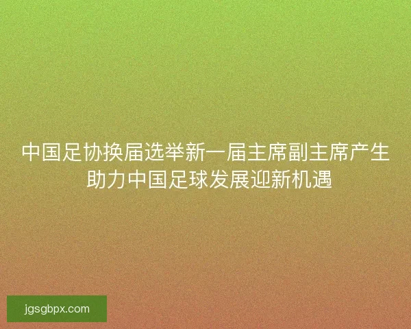 中国足协换届选举新一届主席副主席产生 助力中国足球发展迎新机遇