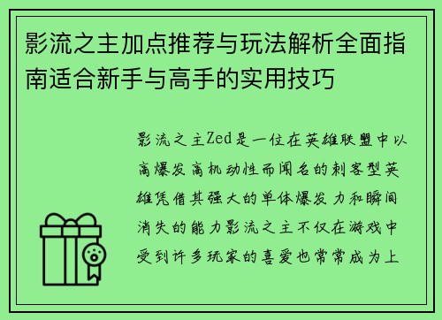 影流之主加点推荐与玩法解析全面指南适合新手与高手的实用技巧